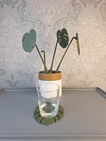 Monstera Untersetzer Set