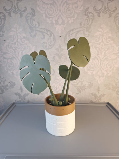 Monstera Untersetzer Set